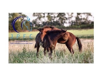 Mobilisation du Comité de Réaction des Jeunes Professionnels de la Filière Cheval