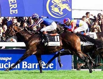 Montjeu lors de sa victoire dans le Prix de l'Arc de Triomphe 1999