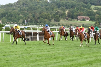 Moonday Sun a brillé au niveau Quinté