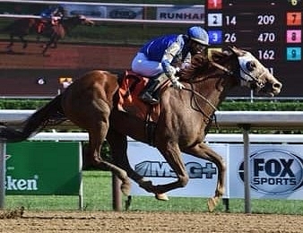 Mystic Guide remporte la Dubai World CUP 2021 ce samedi 27 mars à Meydan.