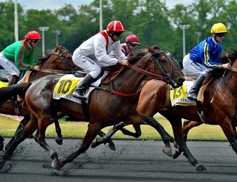 Neuf partants au départ du Prix de l'Ile-de-France ce dimanche à Vincennes