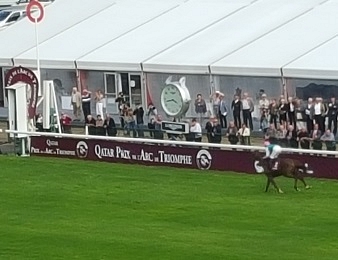New Bay prend date pour le Prix de l'Arc de Triomphe