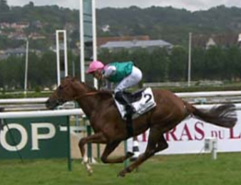 New Bay remportant le Prix Guillaume d'Ornano