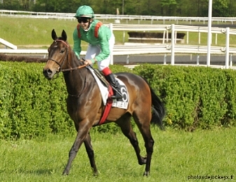 Nicolas Barzalona était apprenti chez l'Aga Khan