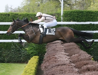 Nikita du Berlais en quête de rachat