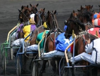Nouveau triomphe des 4 ans dans le Prix de Sélection