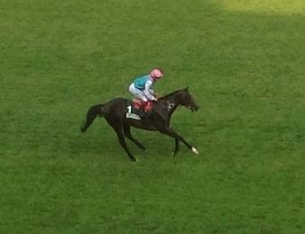 Nouvelle démonstration de Flintshire