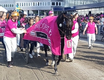 Nuncio a remporté l'Elitloppet 2016 dimanche à Solvalla