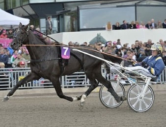 Nuncio fait partie des partants potentiels du Grand Prix d'Amérique