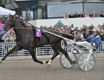 Nuncio lors de l'Elitloppet 2015