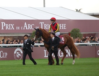 Orfevre a peut-être disputé l'une de ses dernières courses à l'occasion de l'Arc 2013