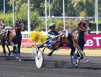 Orient Horse, favori du quinté+ PMU du vendredi 7 octobre à Vincennes