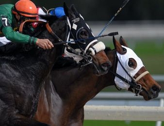 Ouvrez un compte sur Genybet
