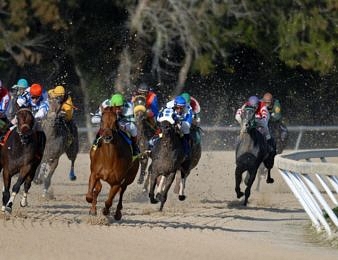 Ouvrez un compte sur Genybet