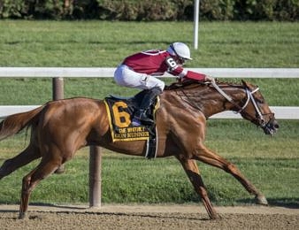 Ouvrez un compte sur Genybet