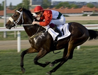 Overdose et Ch. Soumillon en Hongrie en 2009