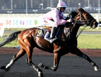 Oyonnax est le plus riche des 18 partants