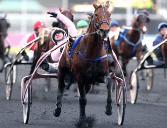 Oyonnax, figure du trotting contemporain et cheval d'une vie pour son entourage