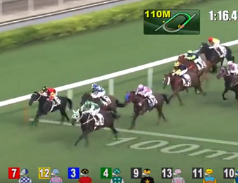 Pakistan Star, nouvelle coqueluche du turf asiatique