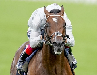 Palace Pier conserve son titre