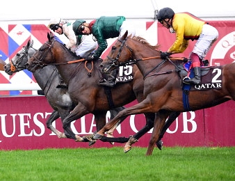 Passage de 20 à 24 partants maximum dans le Qatar Prix de l'Arc de Triomphe