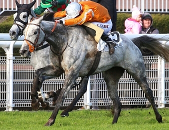 Paul's Saga devance L'Autonomie dans la Grande Course de Haies d'Auteuil.