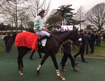 Perfect Impulse s'impose dans le Prix Troytown
