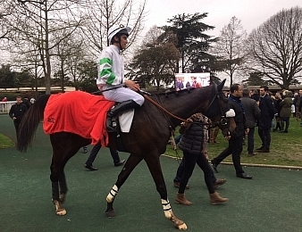 Perfect Impulse s'impose de bout en bout