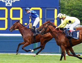 Persian King n'a jamais couru sur plus de 2100 mètres