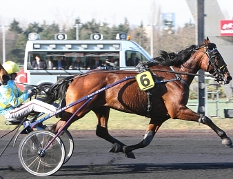 Premier semi-classique pour Tchao de Loiron