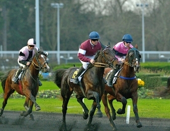 Premiers semi-classiques au trot monté pour les 3 ans ce jeudi 16 février à Vincennes