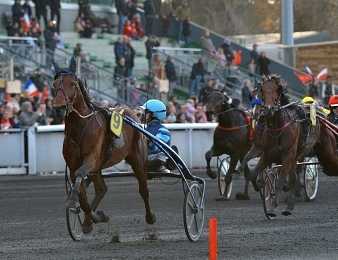 Prix d'Amérique 2021 compromis pour Excellent.