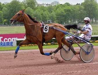 Prix d'Ete Aubrion du Gers conserve son titre