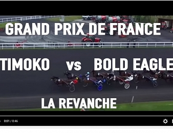 Prix de France : La revanche entre Bold Eagle et Timoko