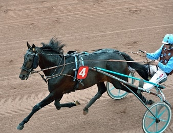 Prix des Géants (UET Masters Series): Up And Quick peut l'emporter ce dimanche à Wolwega