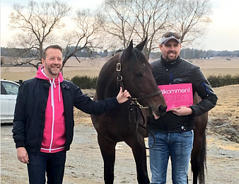 Propulsion a reçu son invitation pour l'Elitloppet 2018