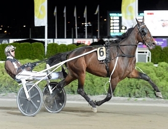 Propulsion décroche son invitation pour participer à l'Elitloppet 2016