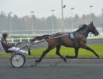 Propulsion double la mise dans le Norrbottens Pris ce samedi 17 juin en Suède