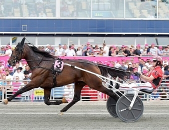 Propulsion est prêt pour l'Elitloppet