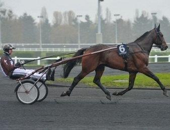Propulsion s'impose dans le Grand Prix de Bourgogne ce dimanche 31 à Vincennes