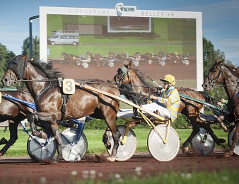 Quartorze trotteurs prennent part au Quinté+ du jour
