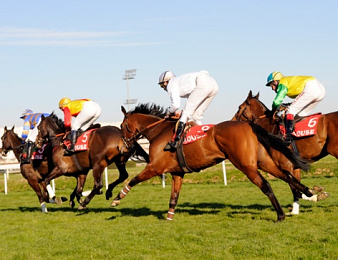 Quatorze concurrents ont rendez-vous dans l'événement du jour
