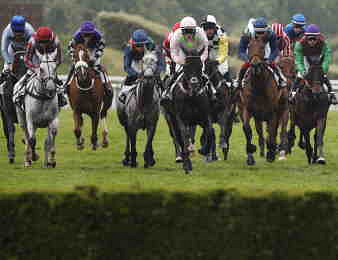 Quatorze concurrents ont rendez-vous dans le Grand Steeple-Chase de Paris