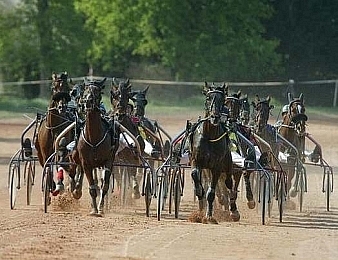 Quatorze concurrents ont rendez-vous dans le Quinté Plus PMU du jour