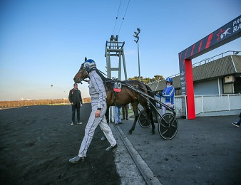 Quatorze trotteurs prennent part au Prix de Paris - Amérique Races