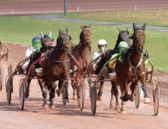 Quatorze trotteurs prennent part au Quinté+