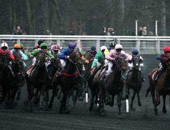 Quatre 5 ans à la poursuite de six 3 ans dans le Prix des Elites