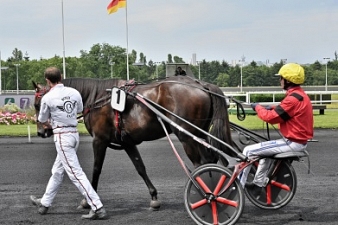 Quel champion ce Bold Eagle!