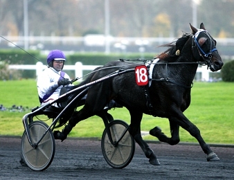 Quif de Villeneuve fait partie des débutants au trot monté