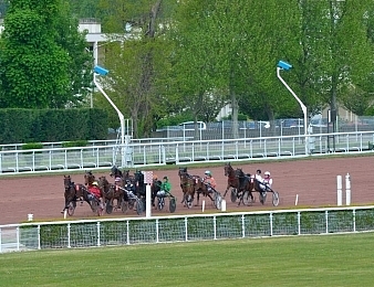 Quinze concurrentes prendront part au Tiercé, Quarté, Quinté plus de ce jour
